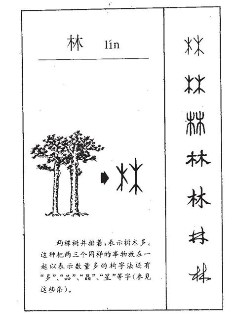 林的意思名字|林字取名的含义是什么